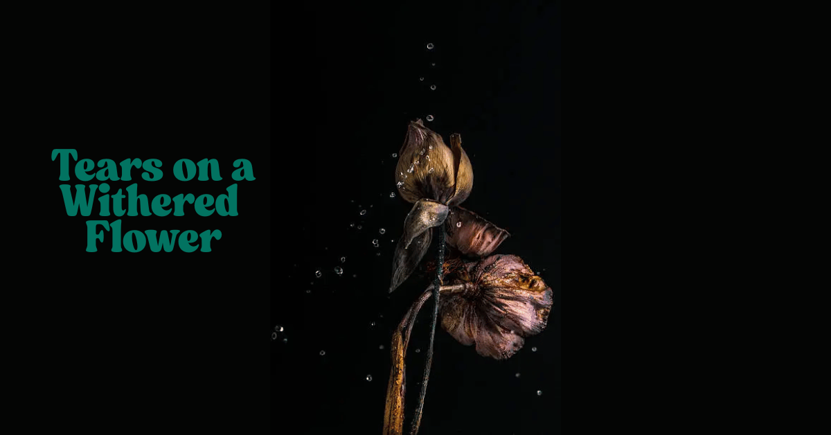 Tears on a Withered Flower