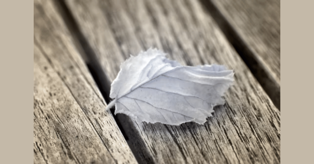 The Things We Leave Unfinished