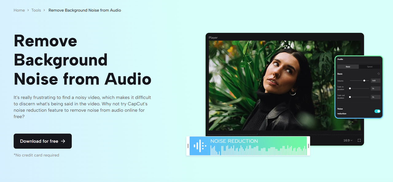 Reduce Noise