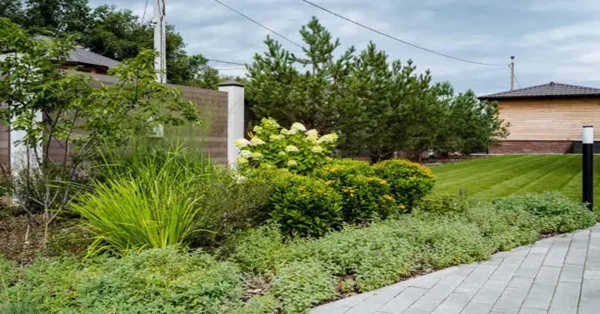 Outdoor Oasis