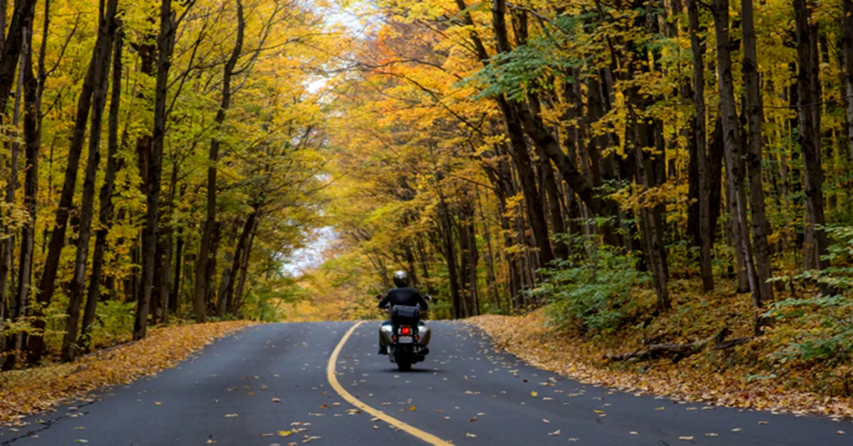 Motorcycle Rides