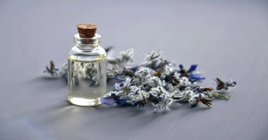 fragrance