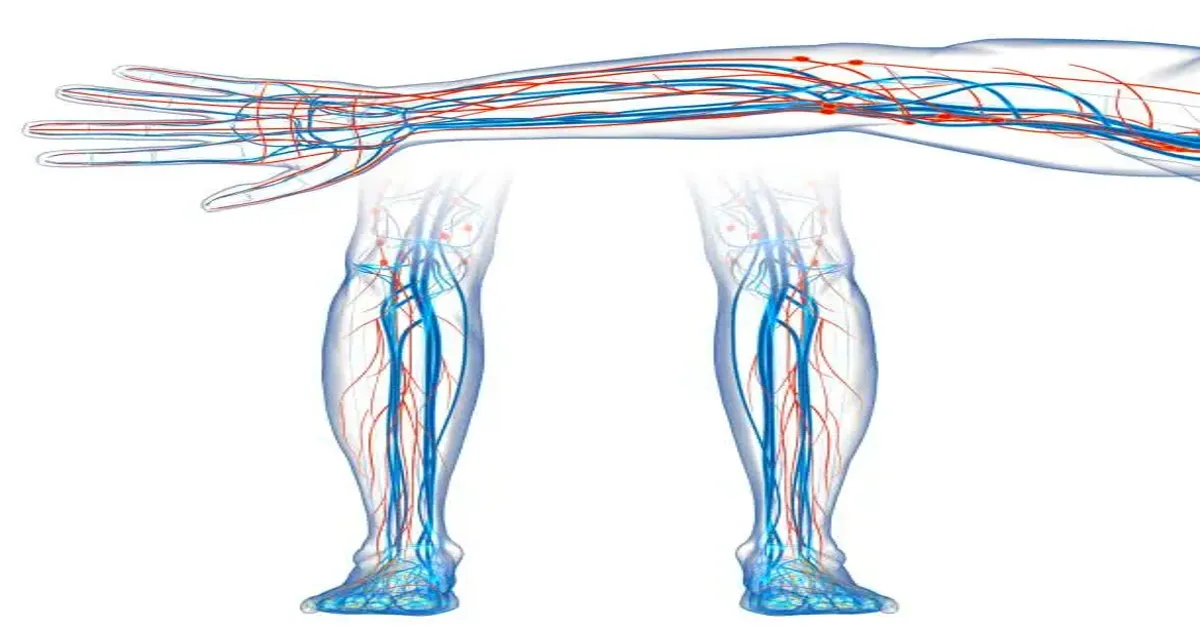 Arterial Disease Treatment
