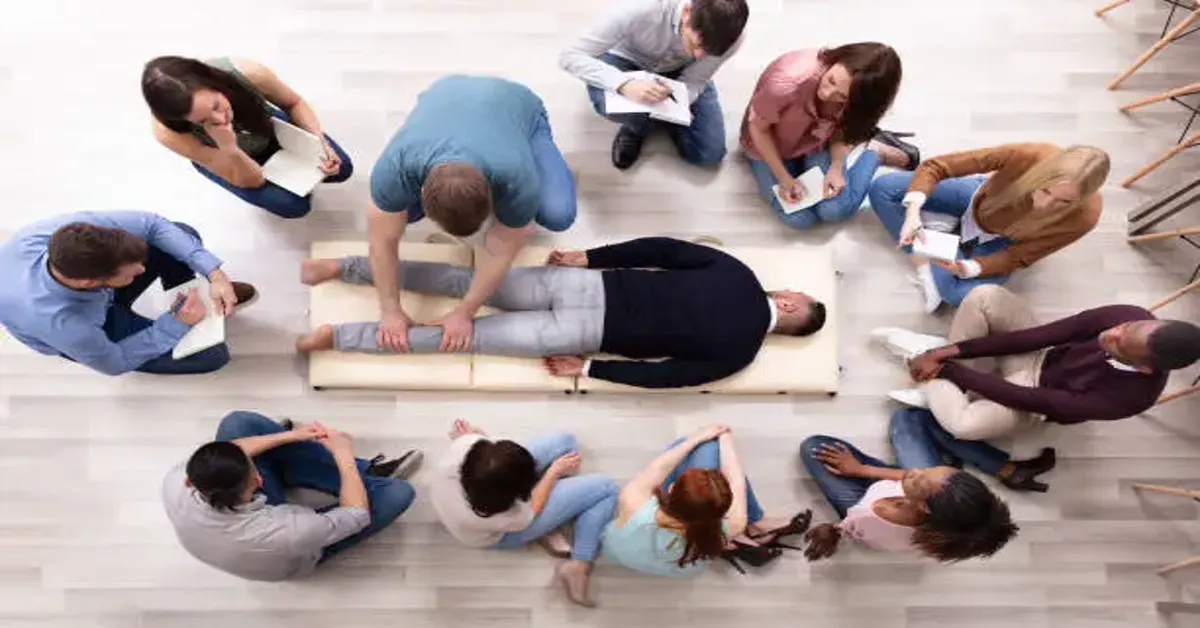 Somatic Trauma Training