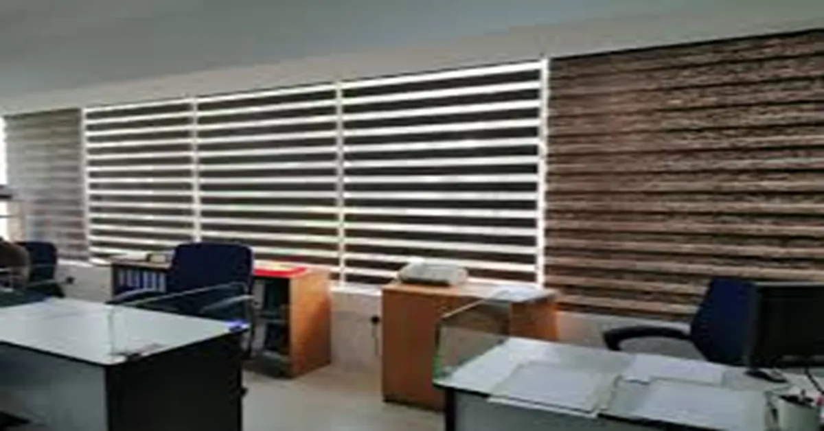 Zebra Blinds