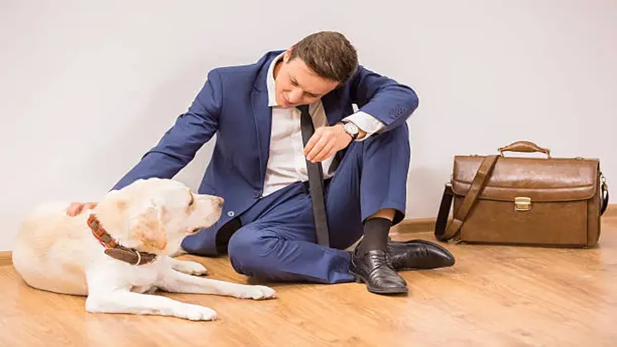 Dog Bite Lawyer