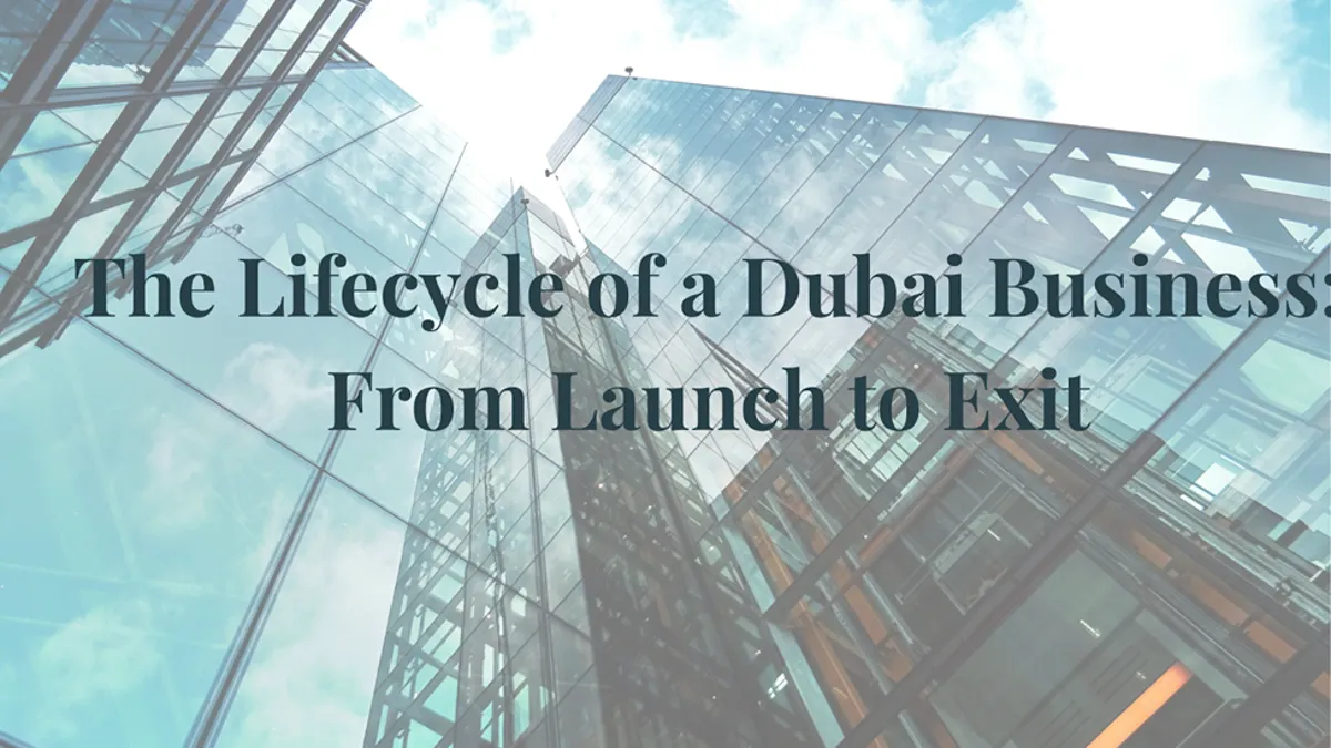 Lifecycle of a Dubai Business
