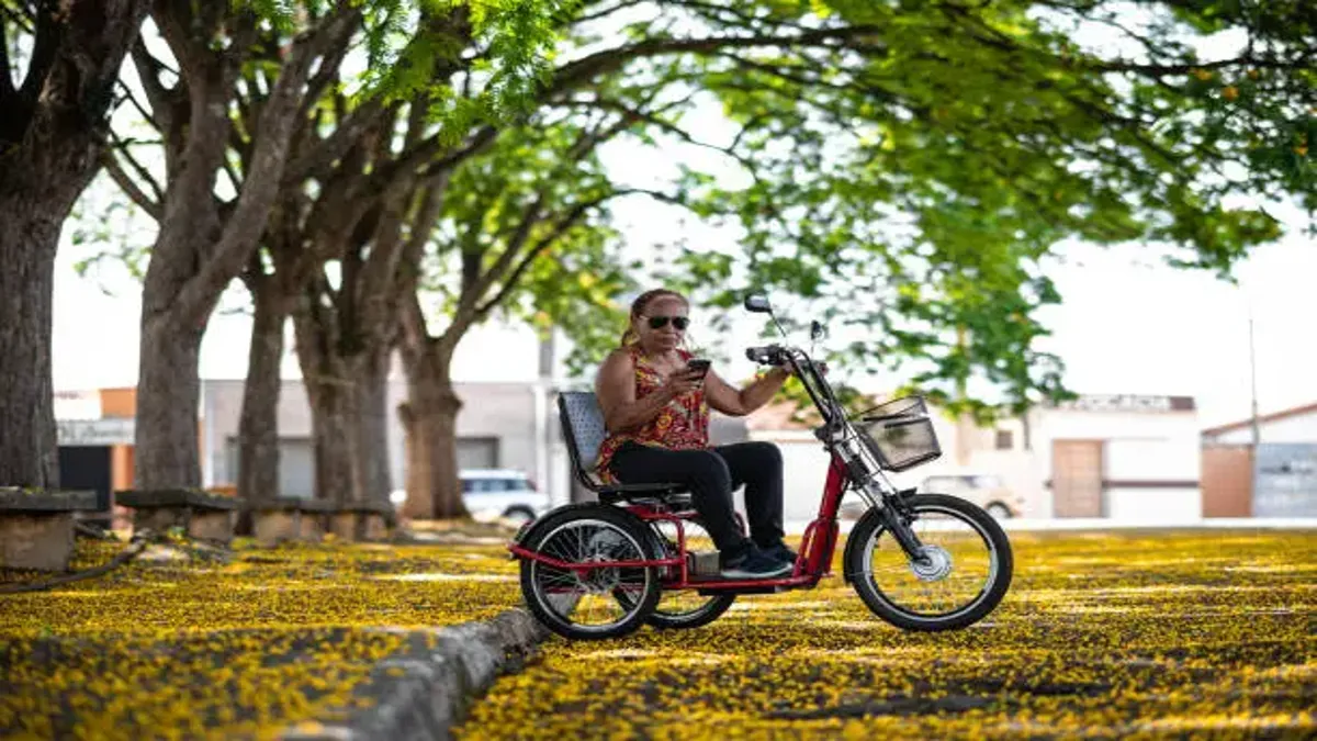 Adult Tricycle