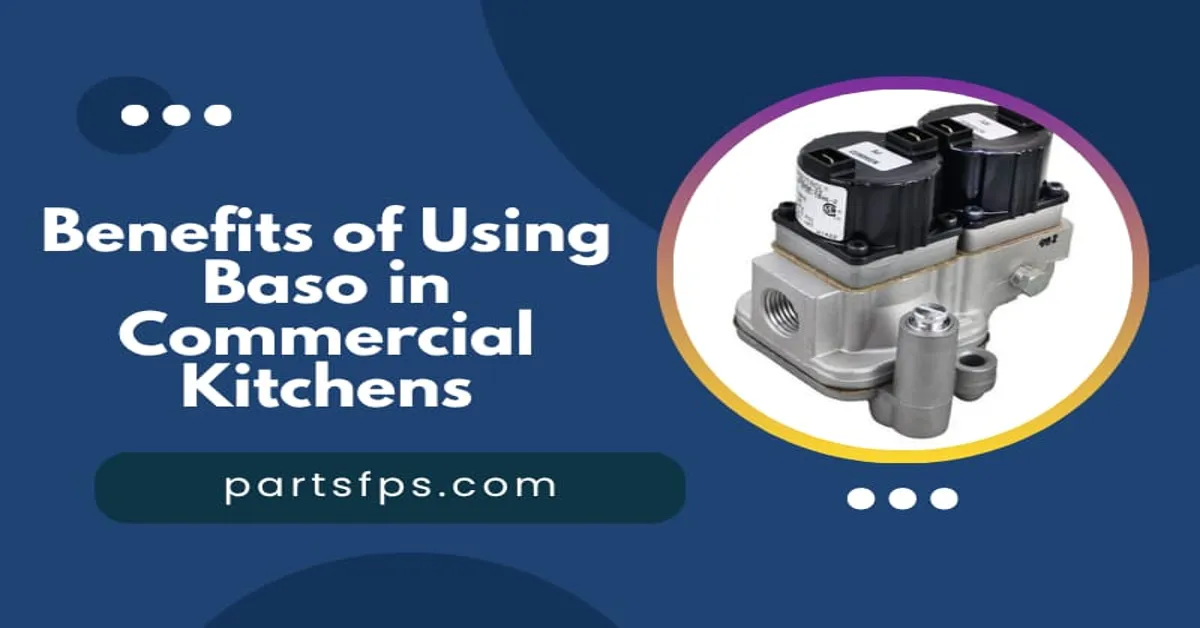 BASO Products