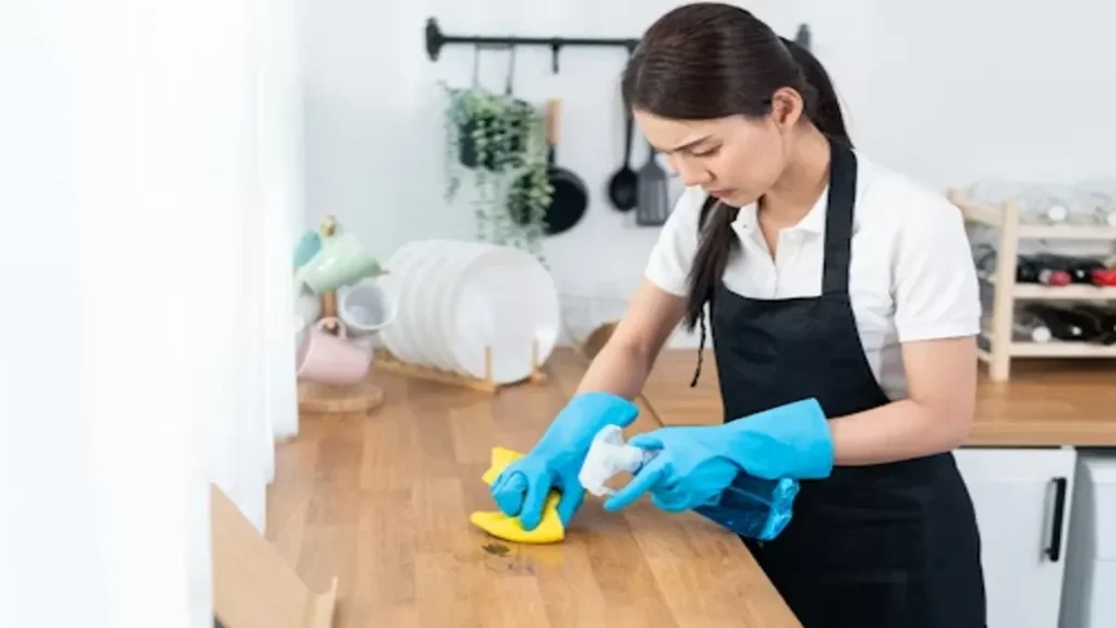 Professional Cleaning Services