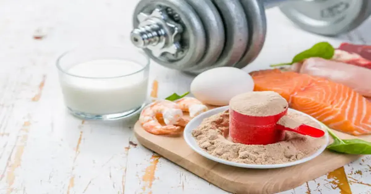 Stimulates Muscle Protein