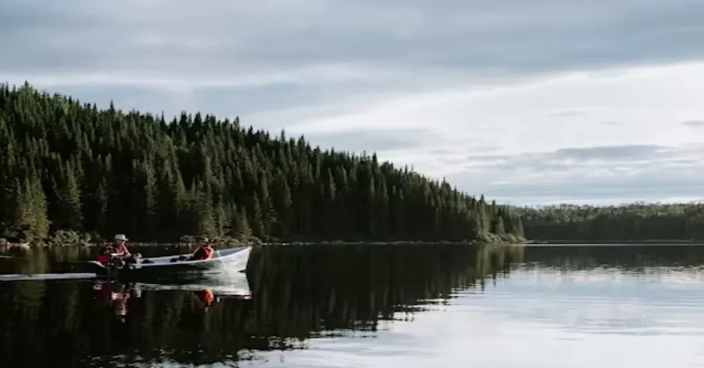 Veneajelu