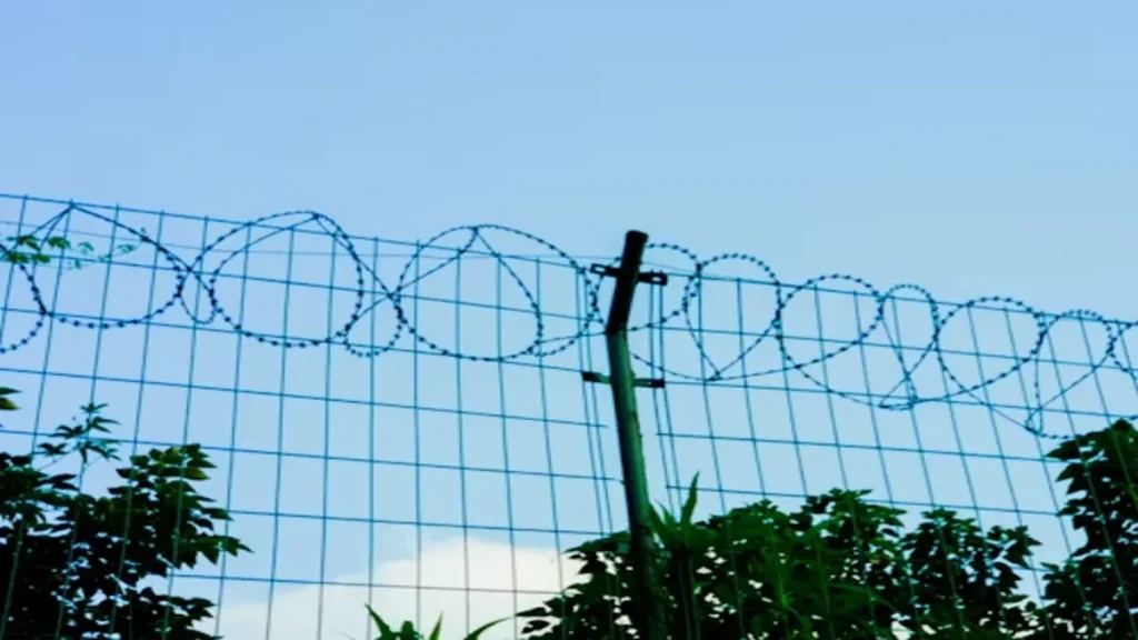 Privacy Screen Fence