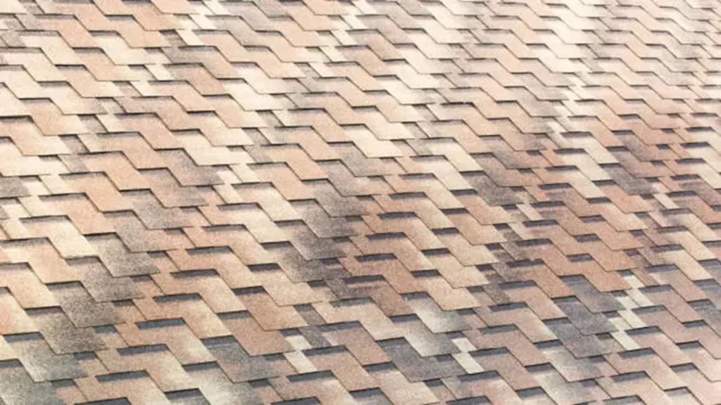Damage Your Shingles