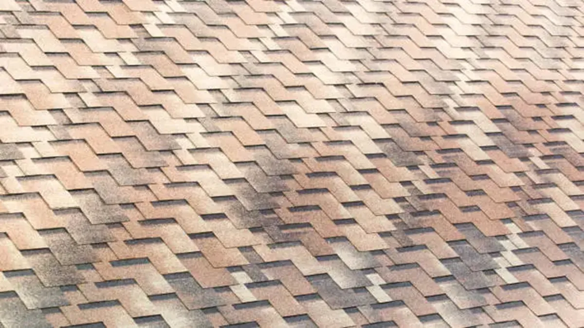 Damage Your Shingles