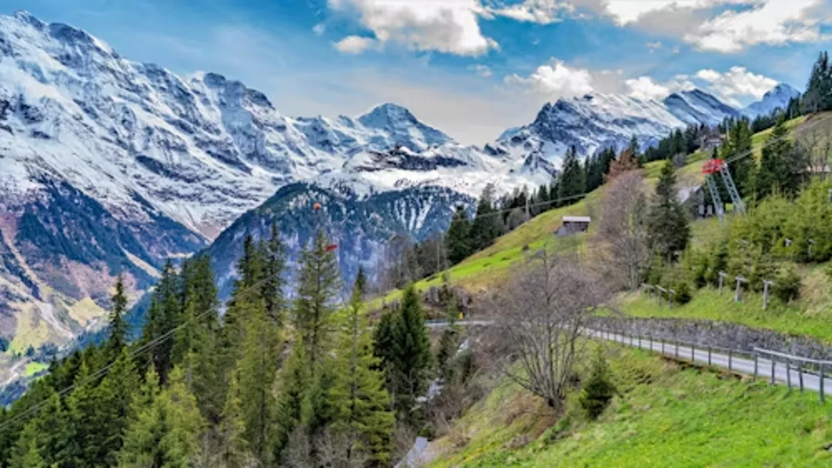 Alpine Beauty