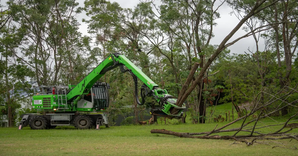 NexGen Tree Services