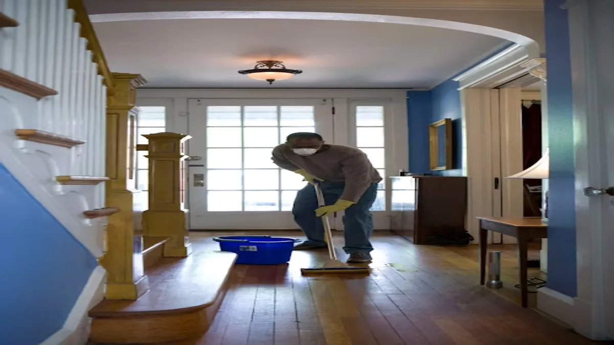 Indy Cleans