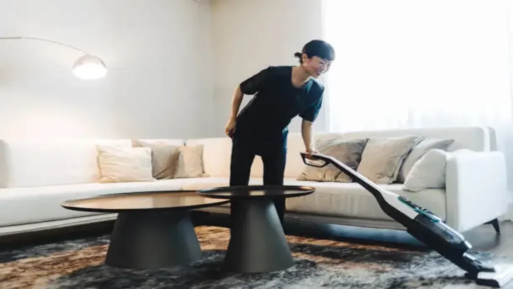 Professional Home Cleaning