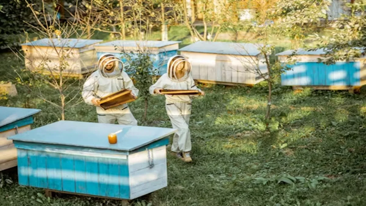 Bees Movers