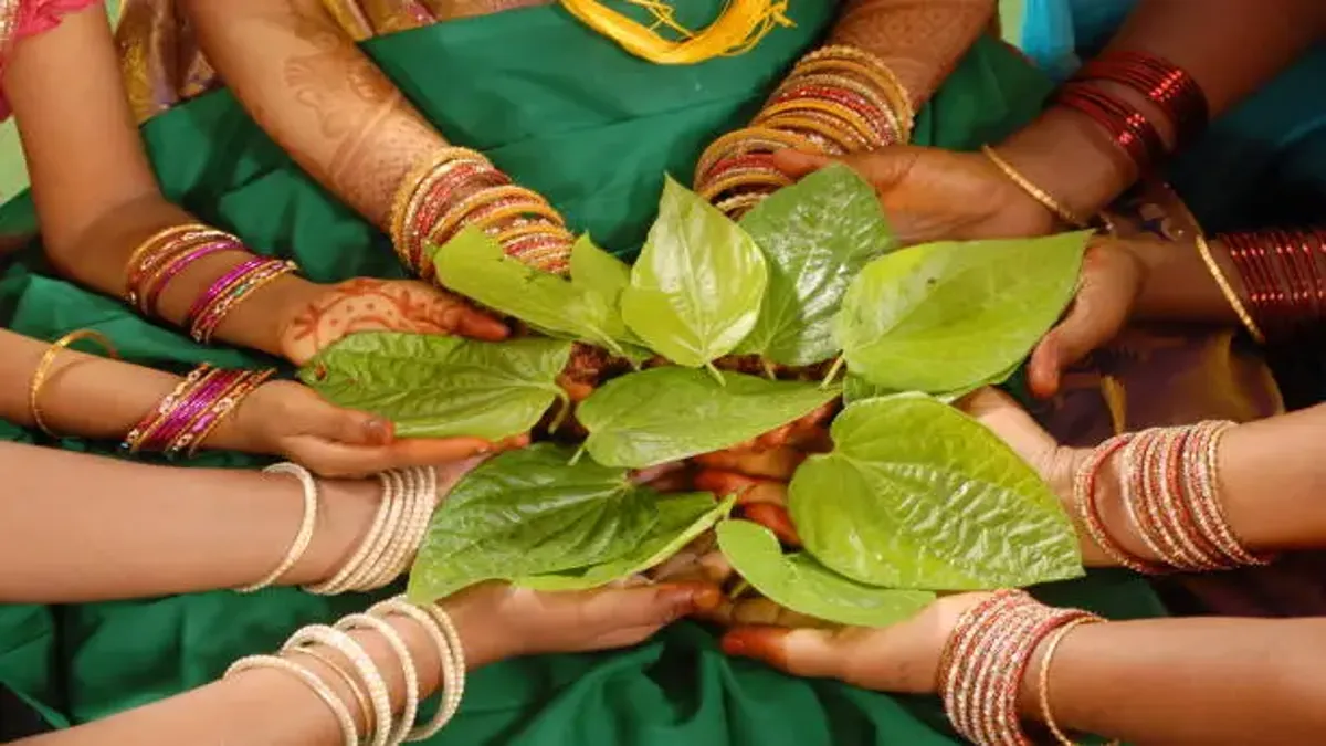 Telugu Sex