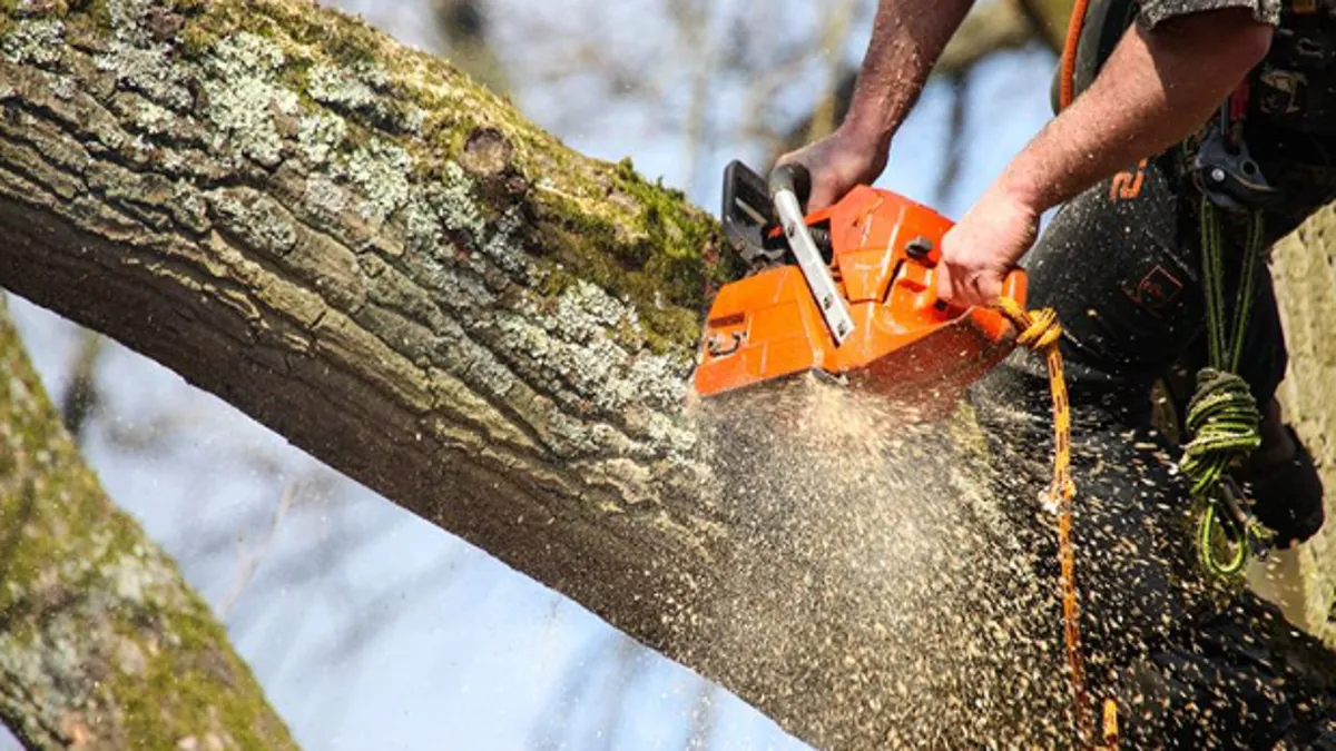 Aura Tree Services