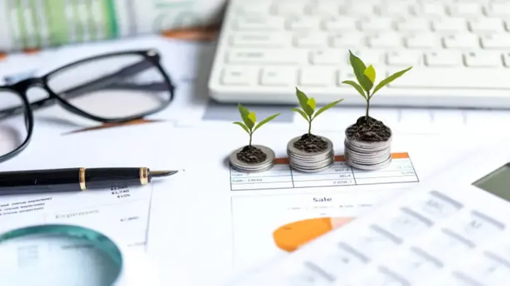 Professional Accounting Services