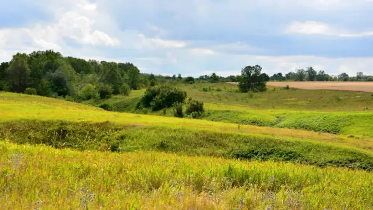 Holistic Hills Land Management