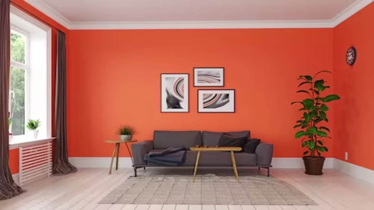 Warmth and Colour Home