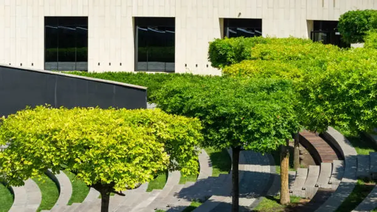 Tactical Trees