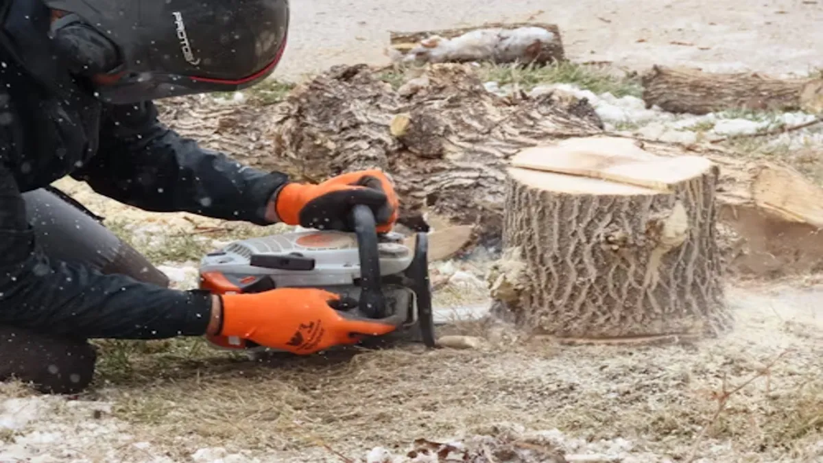 Stompers Stump Grinding