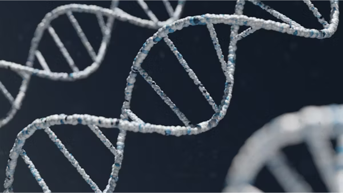 Berry Genomics
