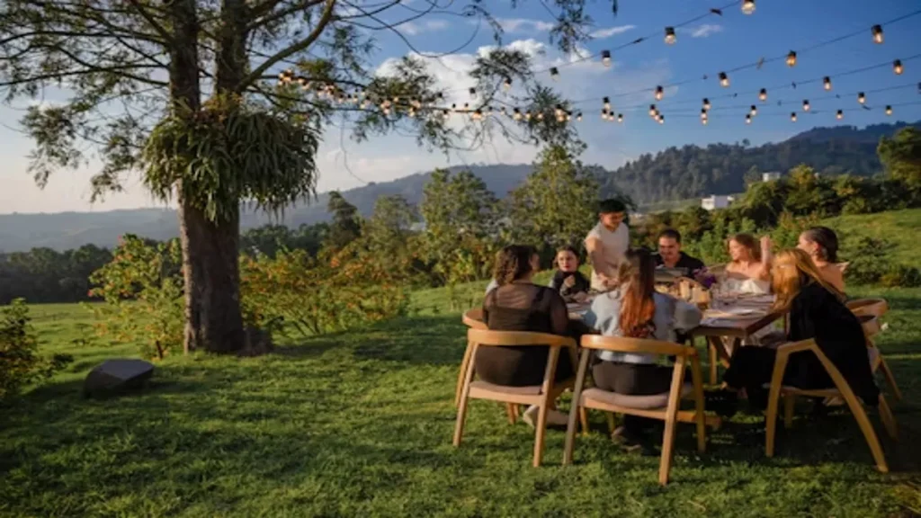 New Zealand Sauvignon Blanc