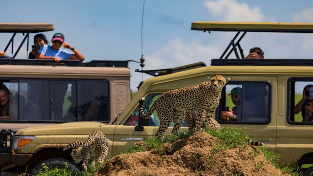 Tanzania