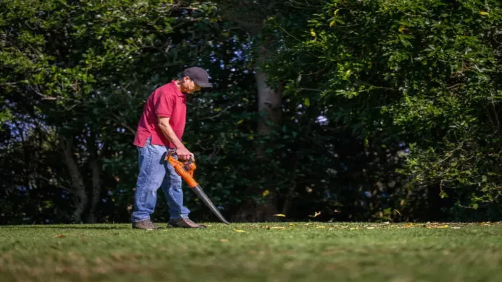 Lawn Treatment Auckland