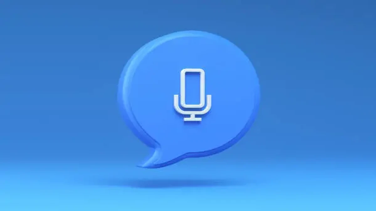 Voice Chat