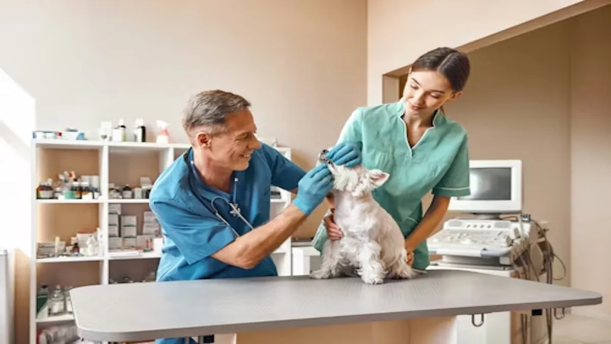 Veterinary Medicine
